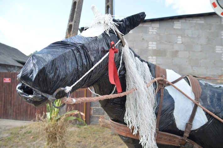 Gmina Śliwice: Dożynki w Brzeźnie - ZDJĘCIA
