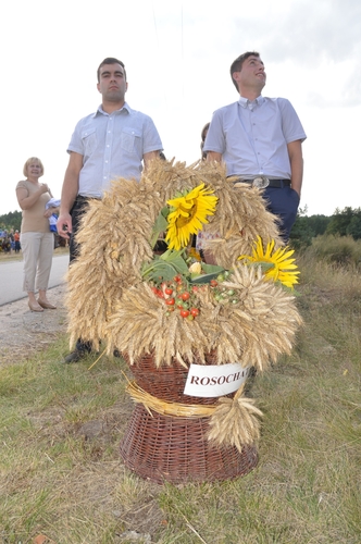Gmina Śliwice: Dożynki w Brzeźnie - ZDJĘCIA