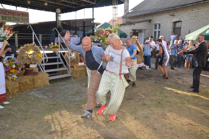 Gmina Śliwice: Dożynki w Brzeźnie - ZDJĘCIA