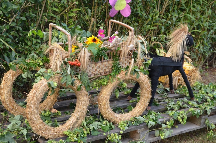 Tuchola: Dożynki gminne w Mędromierzu - ZDJĘCIA