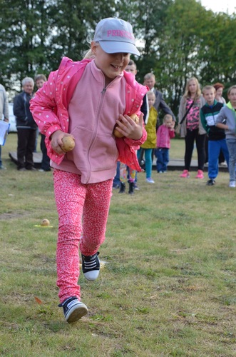 Tuchola: Dożynki gminne w Mędromierzu - ZDJĘCIA