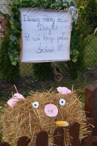 Tuchola: Dożynki gminne w Mędromierzu - ZDJĘCIA