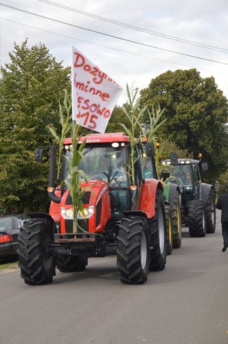 Gmina Kęsowo: Dożynki przy amfiteatrze