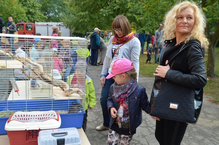 Tuchola: Dzień ziemniaka w przedszkolu - ZDJĘCIA