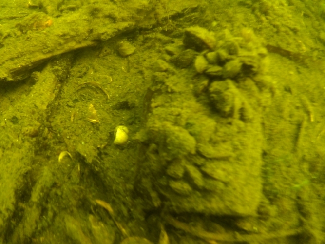 Pod wodą jeziora w Cekcynie - ZDJĘCIA i FILM