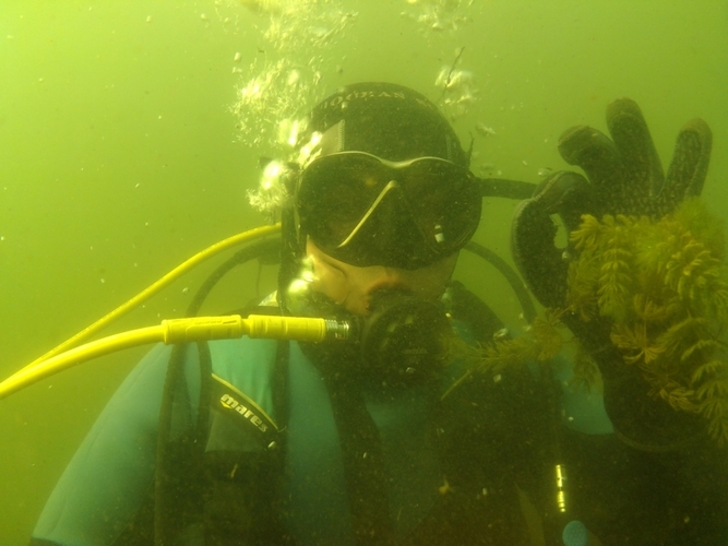 Pod wodą jeziora w Cekcynie - ZDJĘCIA i FILM