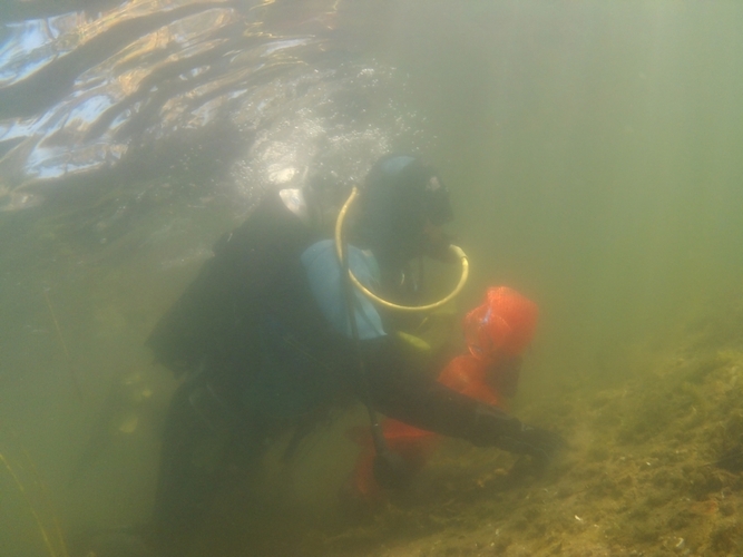 Pod wodą jeziora w Cekcynie - ZDJĘCIA i FILM