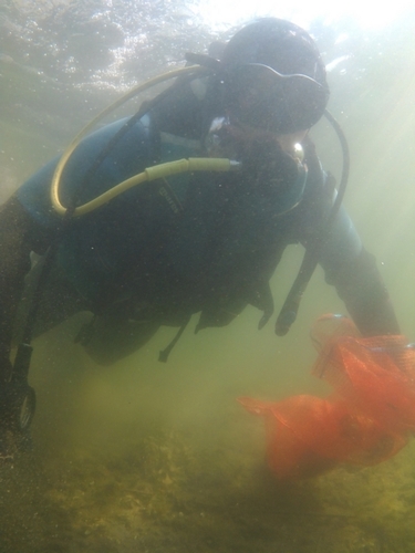 Pod wodą jeziora w Cekcynie - ZDJĘCIA i FILM