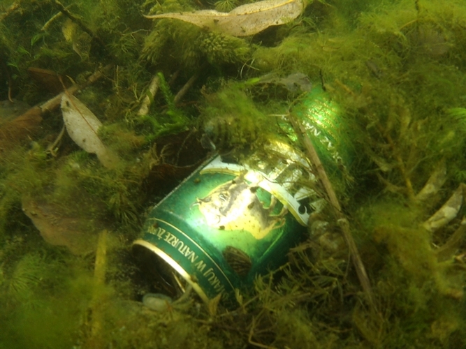 Pod wodą jeziora w Cekcynie - ZDJĘCIA i FILM