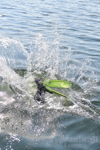 Pod wodą jeziora w Cekcynie - ZDJĘCIA i FILM