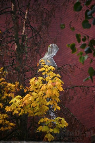 Cekcyn we mgle - ZDJĘCIA