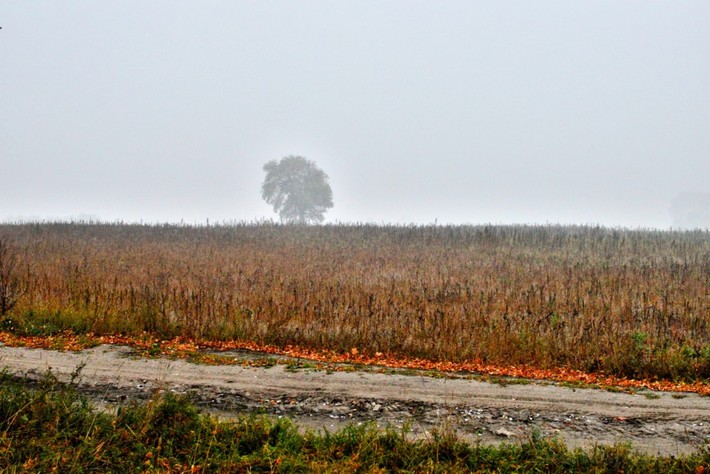 Cekcyn we mgle - ZDJĘCIA