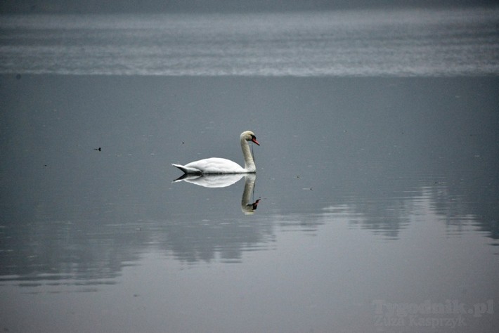 Cekcyn we mgle - ZDJĘCIA