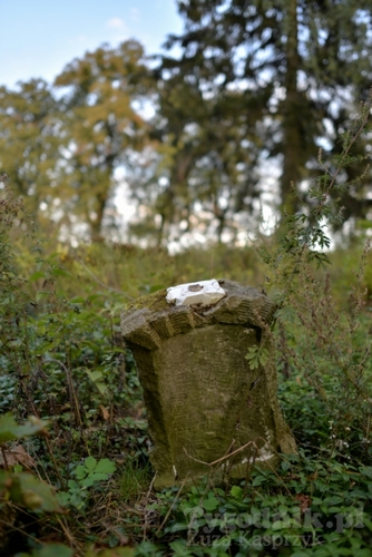 Gmina Cekcyn: Amfiteatr na cmentarzu w Iwcu?! - ZDJĘCIA