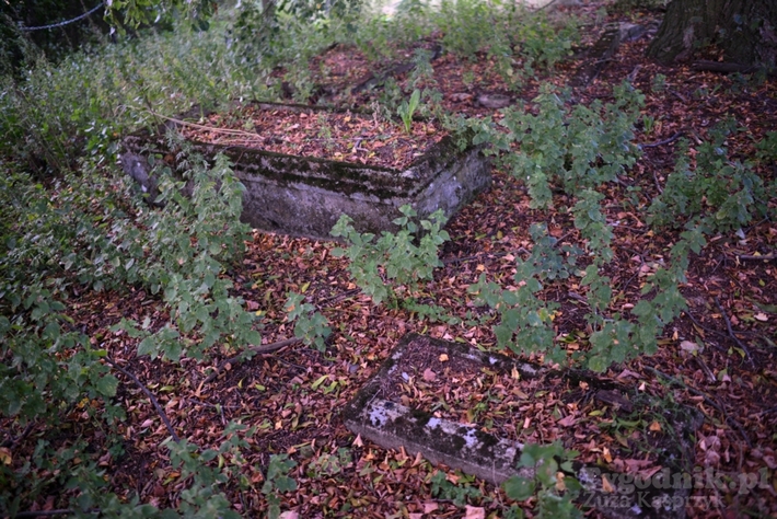 Gmina Cekcyn: Amfiteatr na cmentarzu w Iwcu?! - ZDJĘCIA