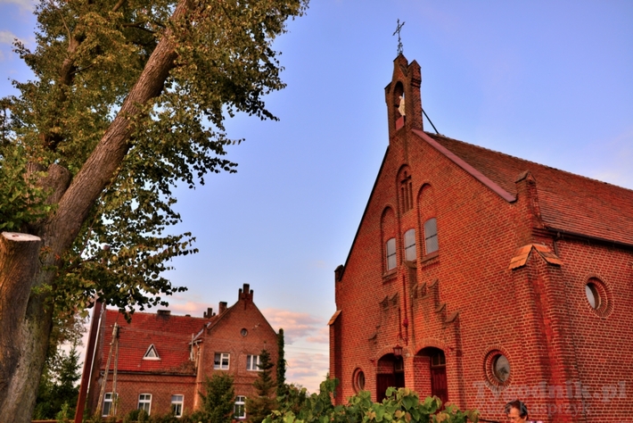 Gmina Cekcyn: Amfiteatr na cmentarzu w Iwcu?! - ZDJĘCIA