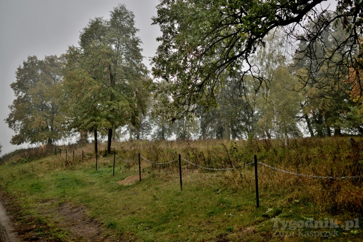 Gmina Cekcyn: Amfiteatr na cmentarzu w Iwcu?! - ZDJĘCIA