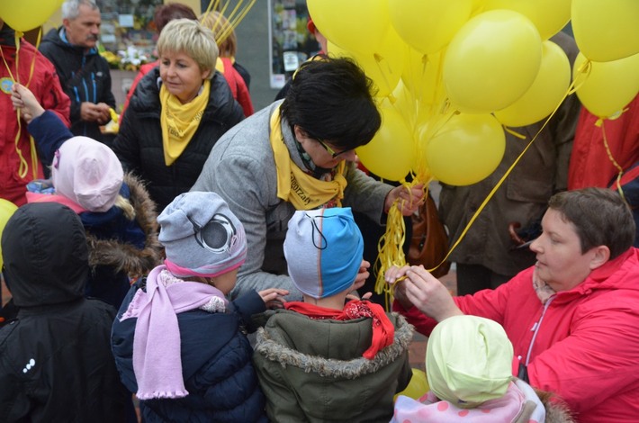 Tuchola: Posadzono dziesiątki żonkili - ZDJĘCIA