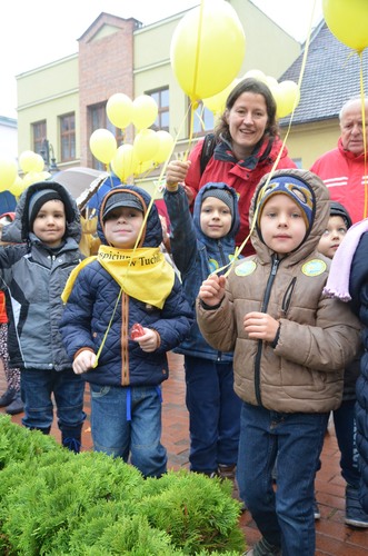 Tuchola: Posadzono dziesiątki żonkili - ZDJĘCIA