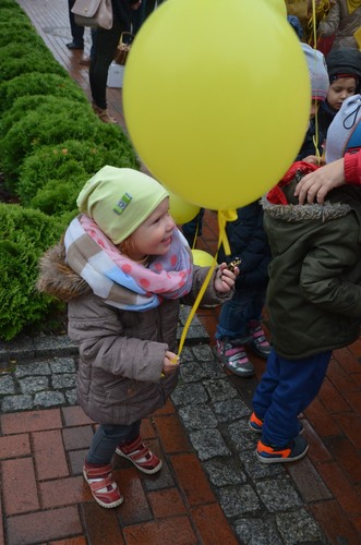 Tuchola: Posadzono dziesiątki żonkili - ZDJĘCIA