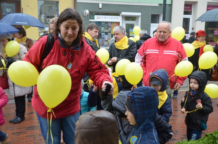 Tuchola: Posadzono dziesiątki żonkili - ZDJĘCIA