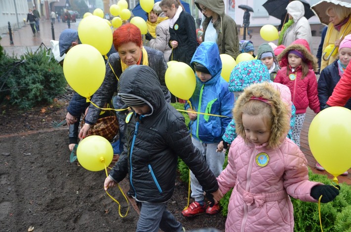 Tuchola: Posadzono dziesiątki żonkili - ZDJĘCIA