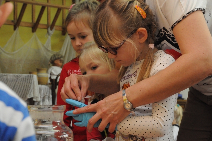 Gmina Śliwice: Naukowiec w 