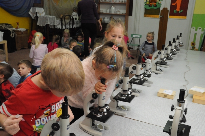 Gmina Śliwice: Naukowiec w 