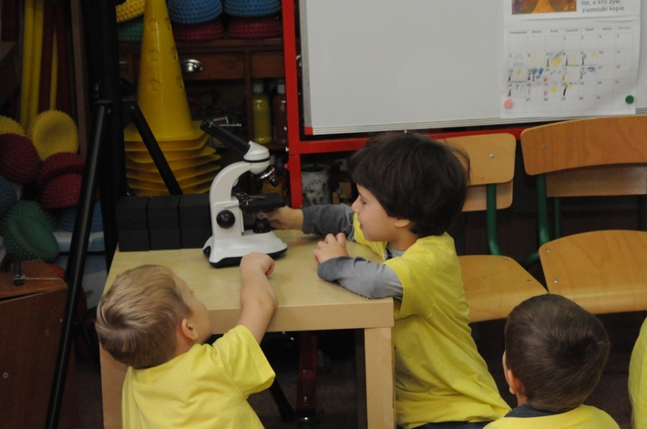 Gmina Śliwice: Naukowiec w 