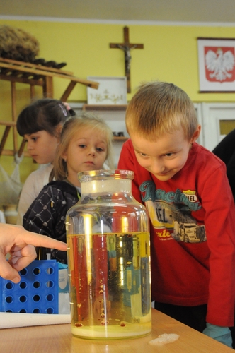 Gmina Śliwice: Naukowiec w 