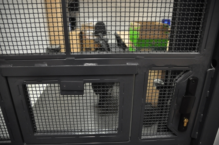 Obejrzyj nową komendę policji - ZDJĘCIA