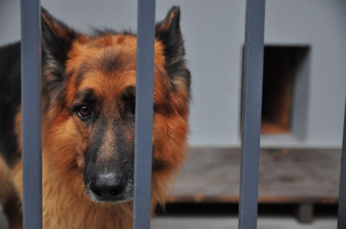 Obejrzyj nową komendę policji - ZDJĘCIA