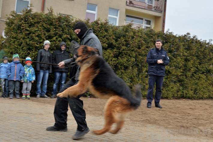 Dzień Bezpieczeństwa w ZS Lubiewo - ZDJĘCIA