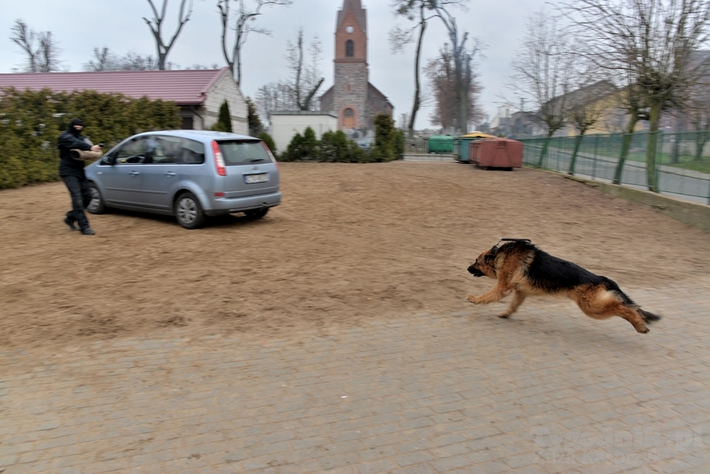 Dzień Bezpieczeństwa w ZS Lubiewo - ZDJĘCIA