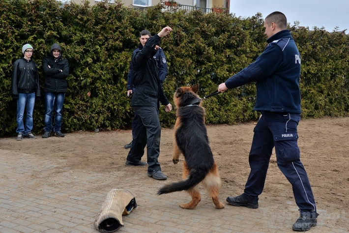 Dzień Bezpieczeństwa w ZS Lubiewo - ZDJĘCIA