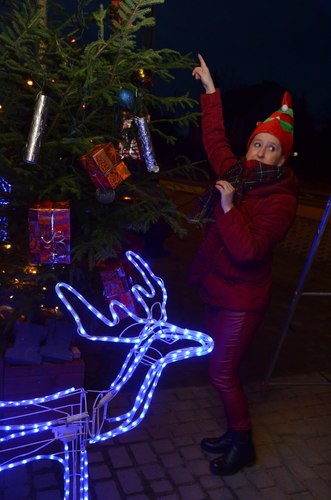 Gostycyn: Mikołajkowy kiermasz rozmaitości - ZDJĘCIA