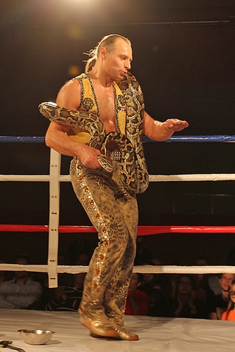 Dziewczęta z Insomni, fakir i nie tylko! Gala boksu w Tucholi - ZDJĘCIA 2