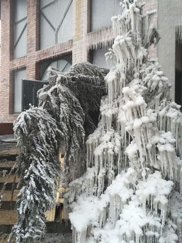 Gmina Tuchola: Pożar w tartaku w Legbądzie - ZDJĘCIA
