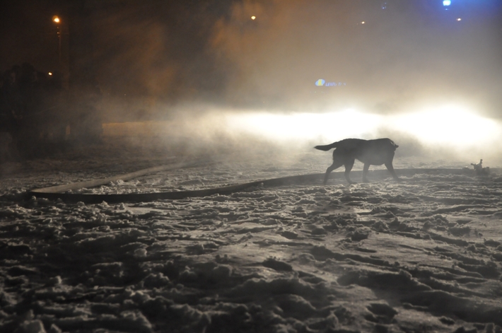 WOŚP Śliwice: Wylicytowali wójta, spalili samochod!  ZDJĘCIA