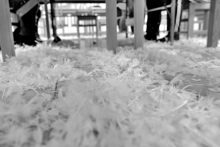 Babskie sprawy - darcie pierza - ZDJĘCIA