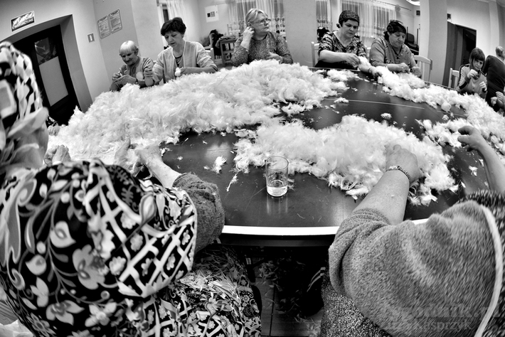 Babskie sprawy - darcie pierza - ZDJĘCIA