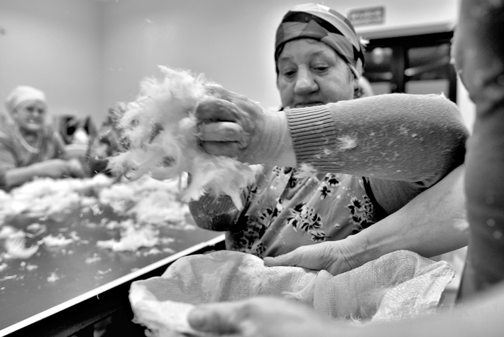 Babskie sprawy - darcie pierza - ZDJĘCIA