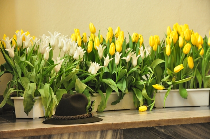 Tuchola: Pogrzeb Piotra Grzywacza - ZDJĘCIA