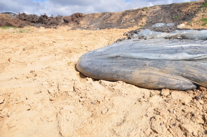 Lubiewo,Bysław: Jak komunalka odpad z oczyszczalni wywiozła... ZDJĘCIA