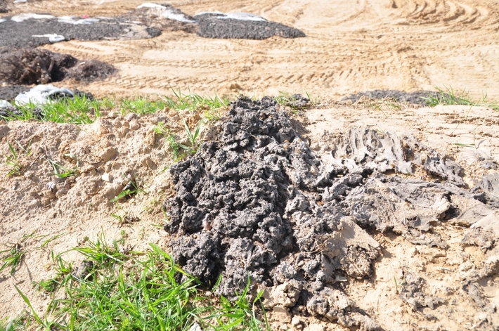 Lubiewo,Bysław: Jak komunalka odpad z oczyszczalni wywiozła... ZDJĘCIA