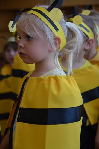 Tuchola: To był Festiwal Wiosny - ZDJĘCIA