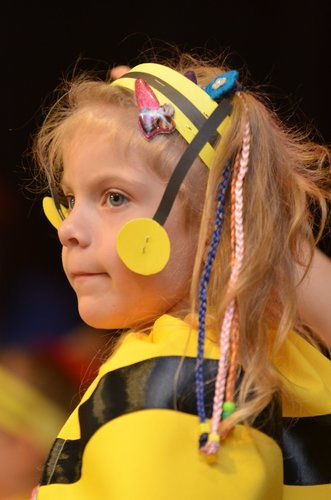 Tuchola: To był Festiwal Wiosny - ZDJĘCIA