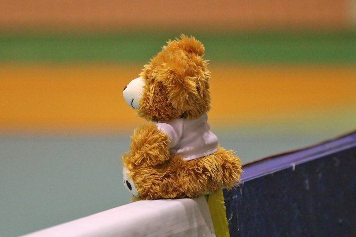 Mistrzostwa Polski w siatkówkę w Tucholi - DUŻO ZDJĘĆ