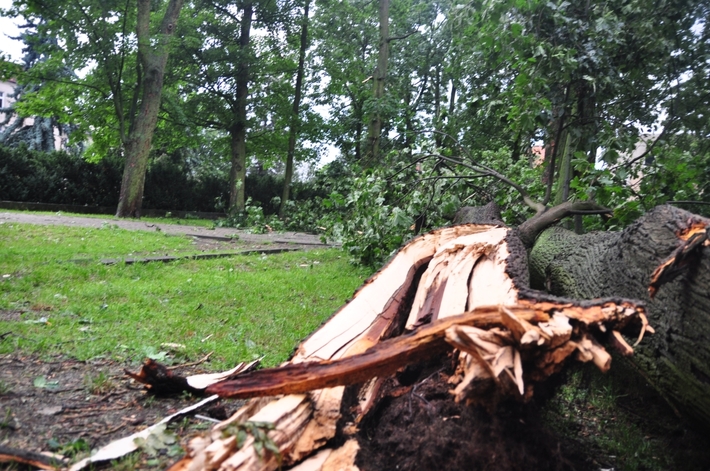 Burze nad Tucholą i okolicami - ZDJĘCIA