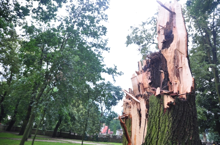 Burze nad Tucholą i okolicami - ZDJĘCIA